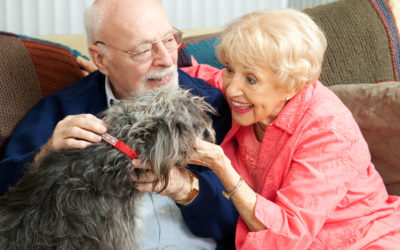 Pets and Seniors