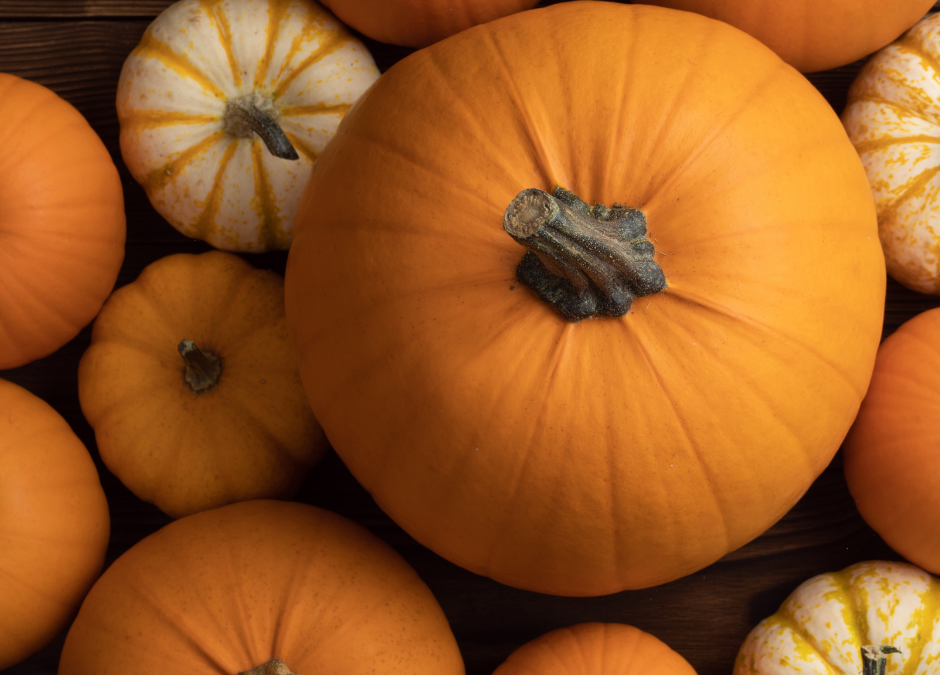 Your Pumpkin Has Italian Jewish Roots!
