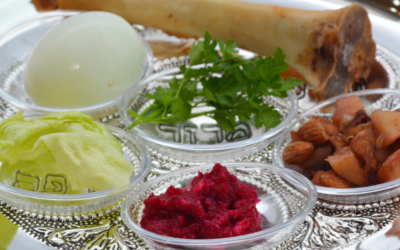 Passover Items for the Passover Seders